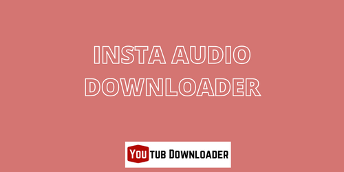Insta Audio Downloader