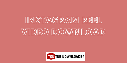 Instagram Reel Video Download